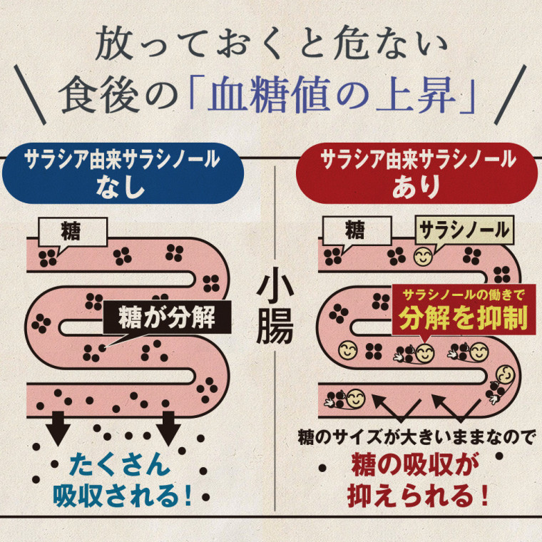 糖カロセーブ サラシア サプリ Dmjえがお生活 血糖値 下げる サプリメント サラシア粒 機能性表示食品 日本製 31日分 Dmjえがお生活 公式通販サイト 自然由来の健康食品 サプリメント 化粧品などを心を込めてお届けします