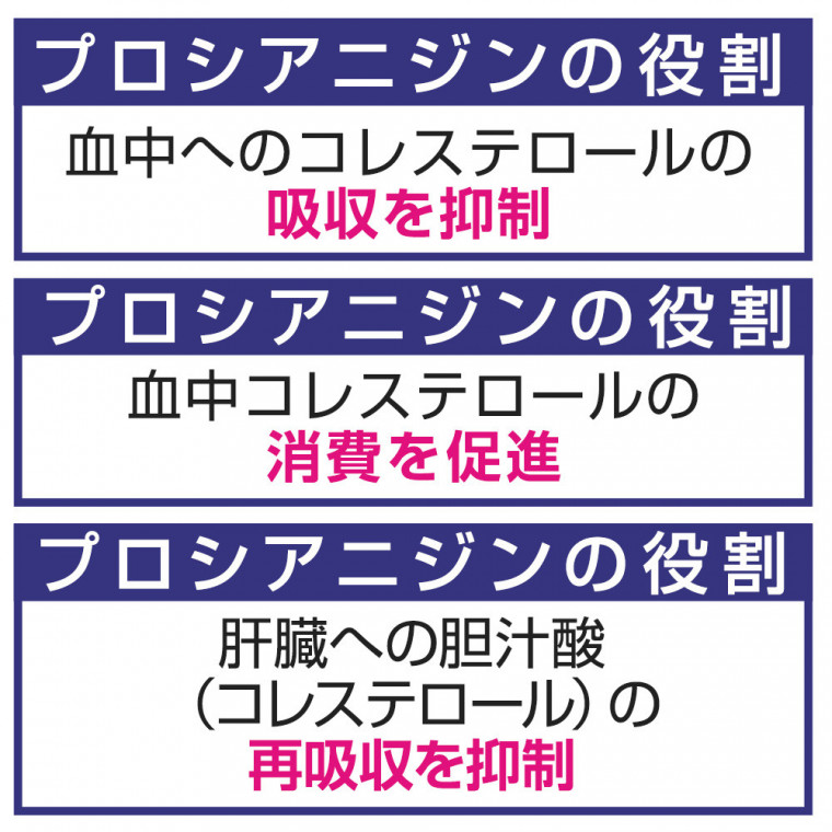 コレステ生活 コレステロールを下げるサプリメント Dmjえがお生活 悪玉コレステロール 機能性表示食品 Ldl 日本製 31日分 Dmjえがお生活 公式通販サイト 自然由来の健康食品 サプリメント 化粧品などを心を込めてお届けします