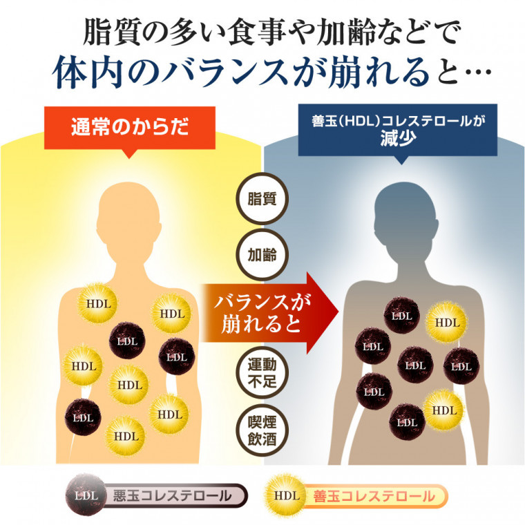 コレステ生活 コレステロールを下げるサプリメント Dmjえがお生活 悪玉コレステロール 機能性表示食品 Ldl 日本製 31日分 Dmjえがお生活 公式通販サイト 自然由来の健康食品 サプリメント 化粧品などを心を込めてお届けします