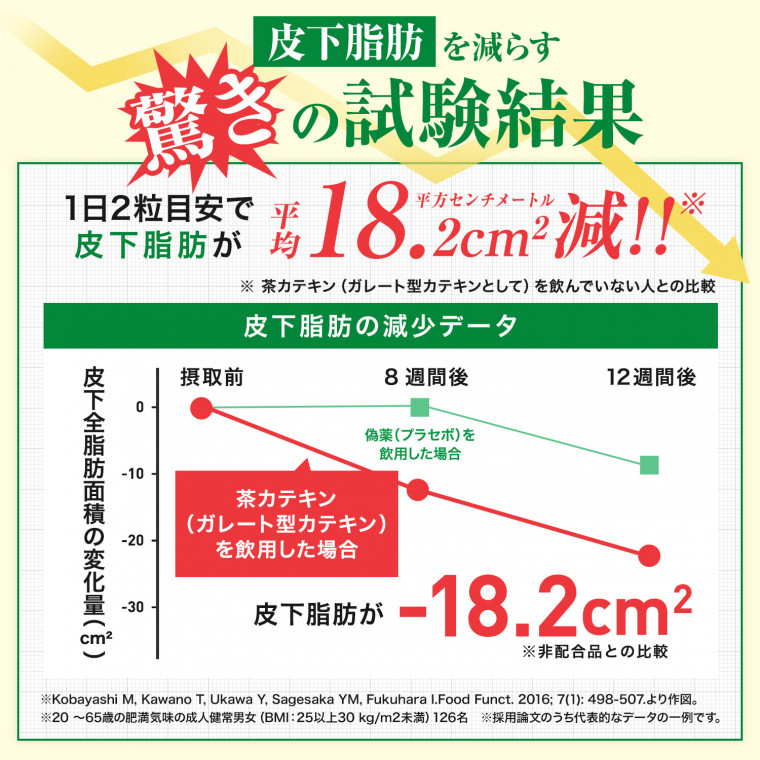 カテキン減脂粒 お腹の脂肪 内臓脂肪を減らす 緑茶 カテキンサプリメント Dmjえがお生活 茶カテキン配合 機能性表示食品 日本製 31日分 Dmjえがお生活 公式通販サイト 自然由来の健康食品 サプリメント 化粧品などを心を込めてお届けします